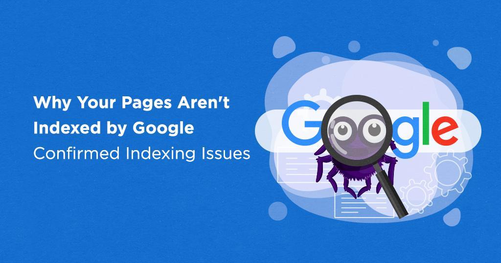 Top 4 Factors Why Google Is Not Indexing Your Website - Alphaklick Solution